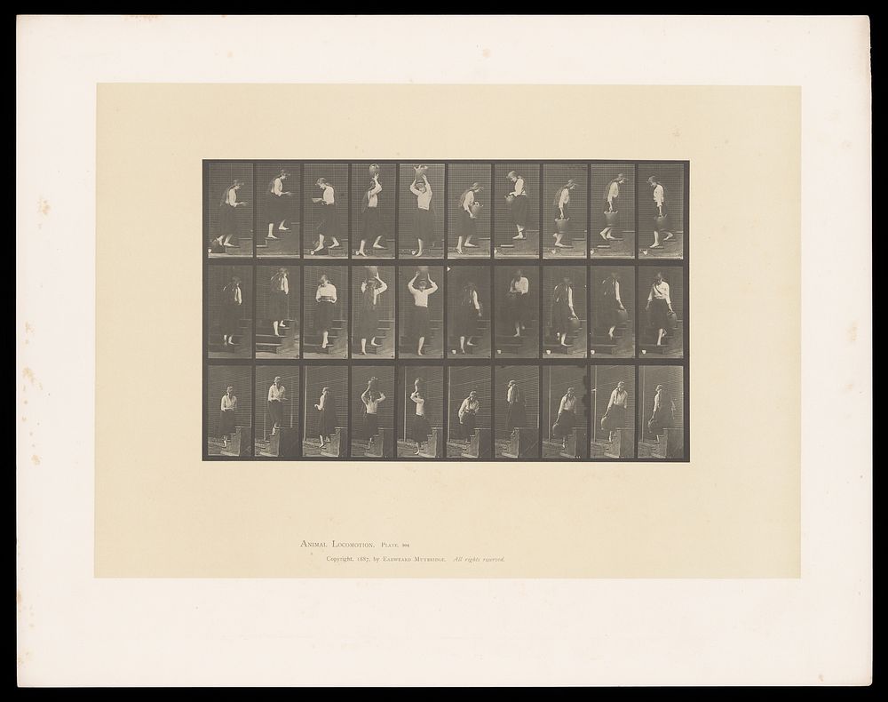 A clothed woman walks up and down steps carrying a bowl then a water jar. Collotype after Eadweard Muybridge, 1887.