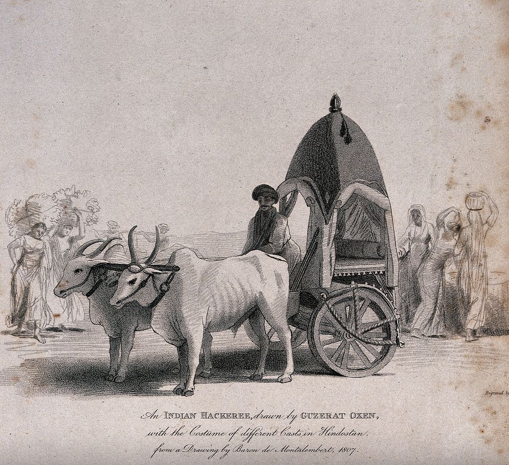A vehicle with wooden wheels pulled by two oxen in India. Etching by T. Wageman after M.-R. de Montalembert.