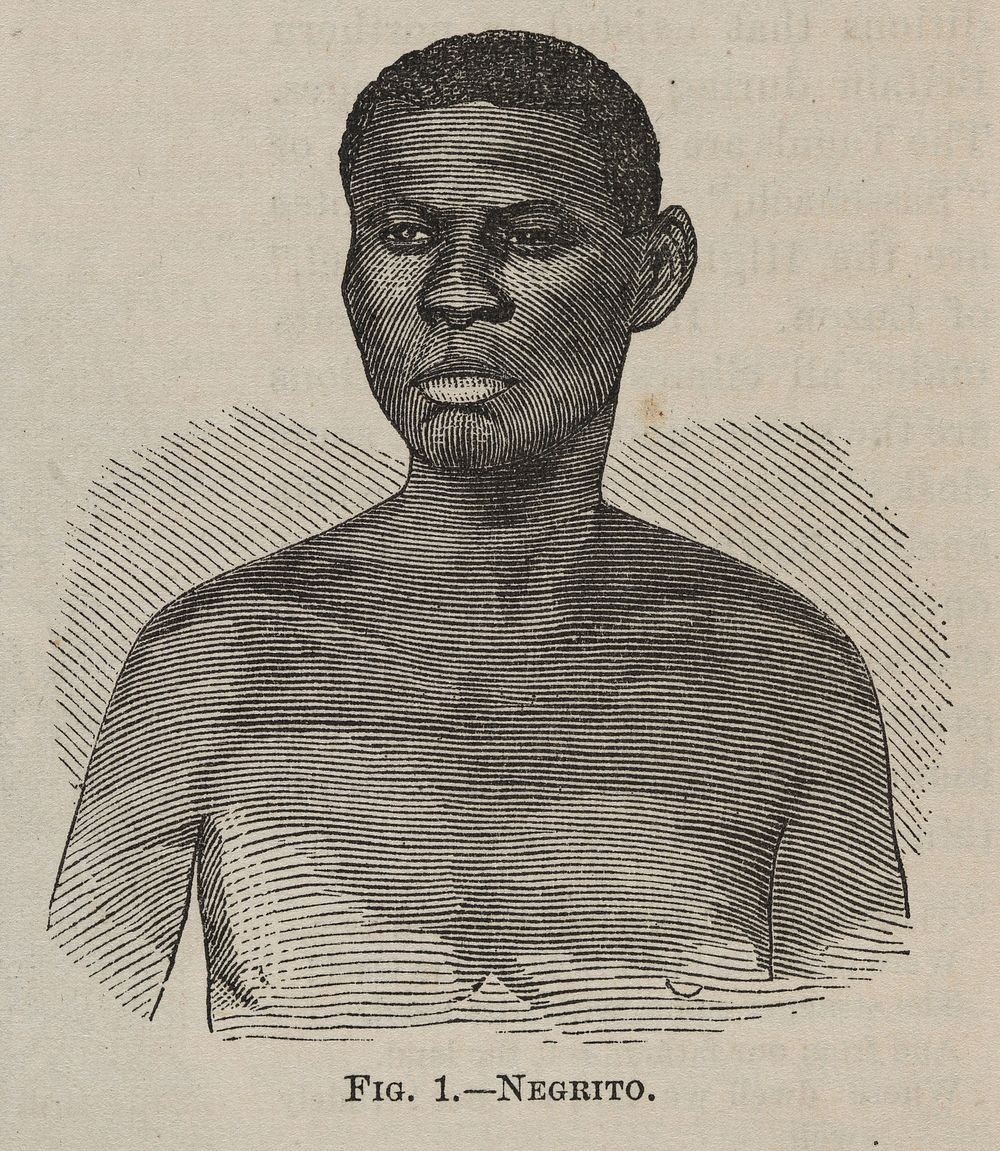 "Fig. 1 - Negrito" The phrenological journal, 1870.