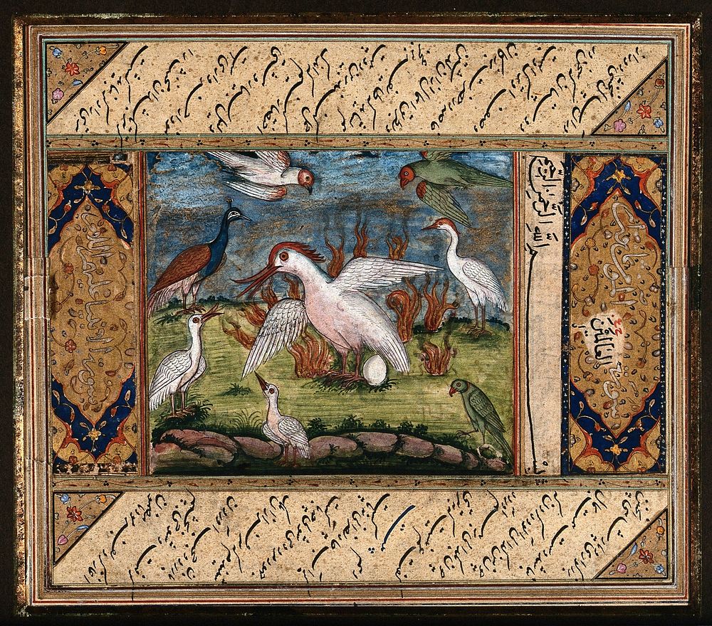 The conference of the birds. Gouache painting by an Persian artist .