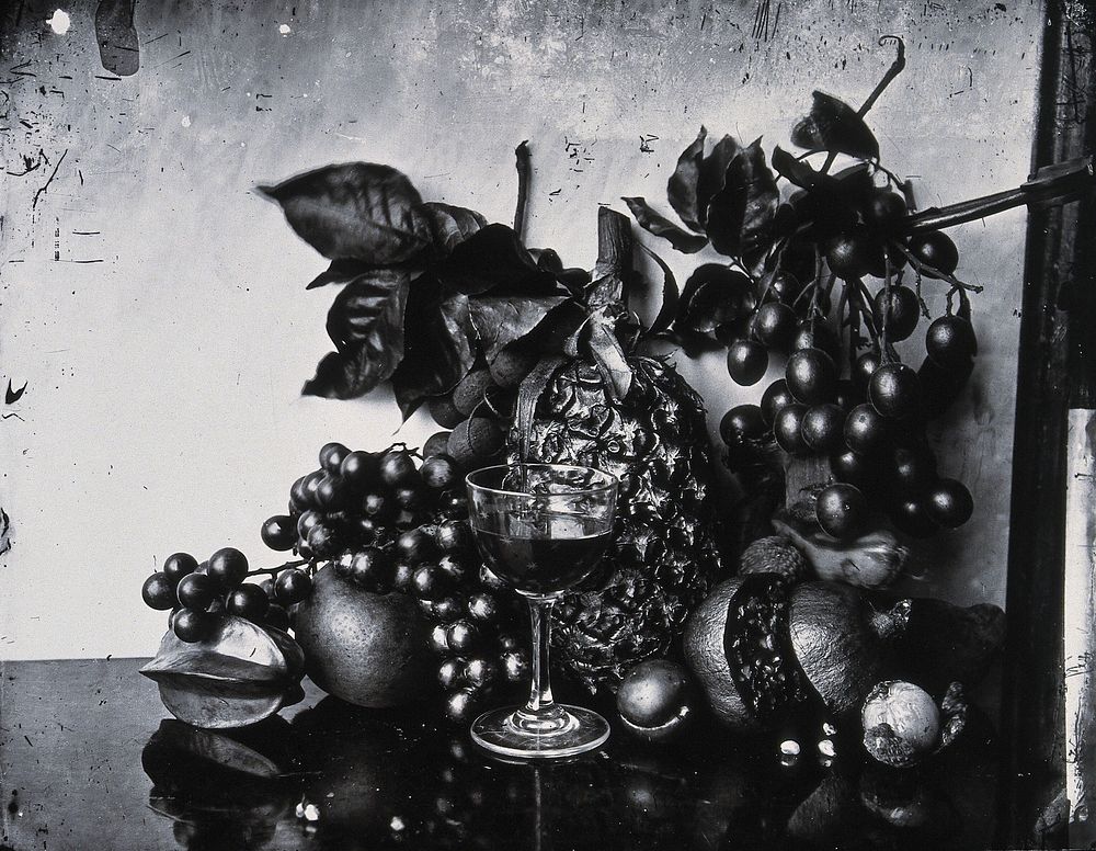Still life of fruit, Hong Kong. Photograph, 1981, from a negative by John Thomson, 1868/1871.