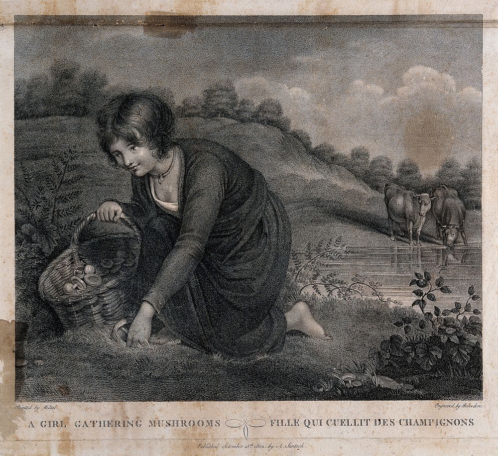 A girl with a basket gathering mushrooms in a watermeadow. Engraving by Belvedere, 1802, after R. Westall.