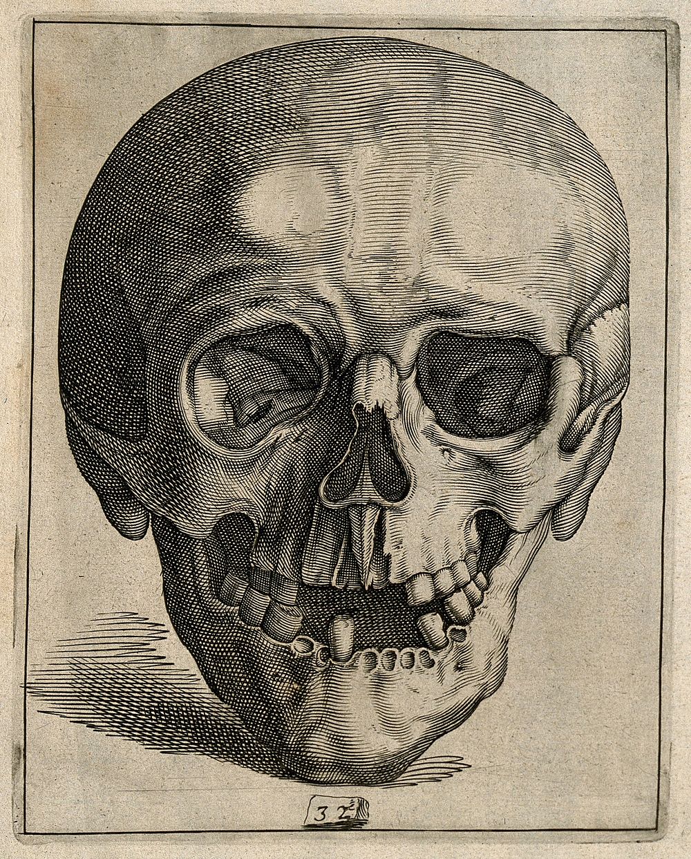 Skull: anterior view. Line engraving.