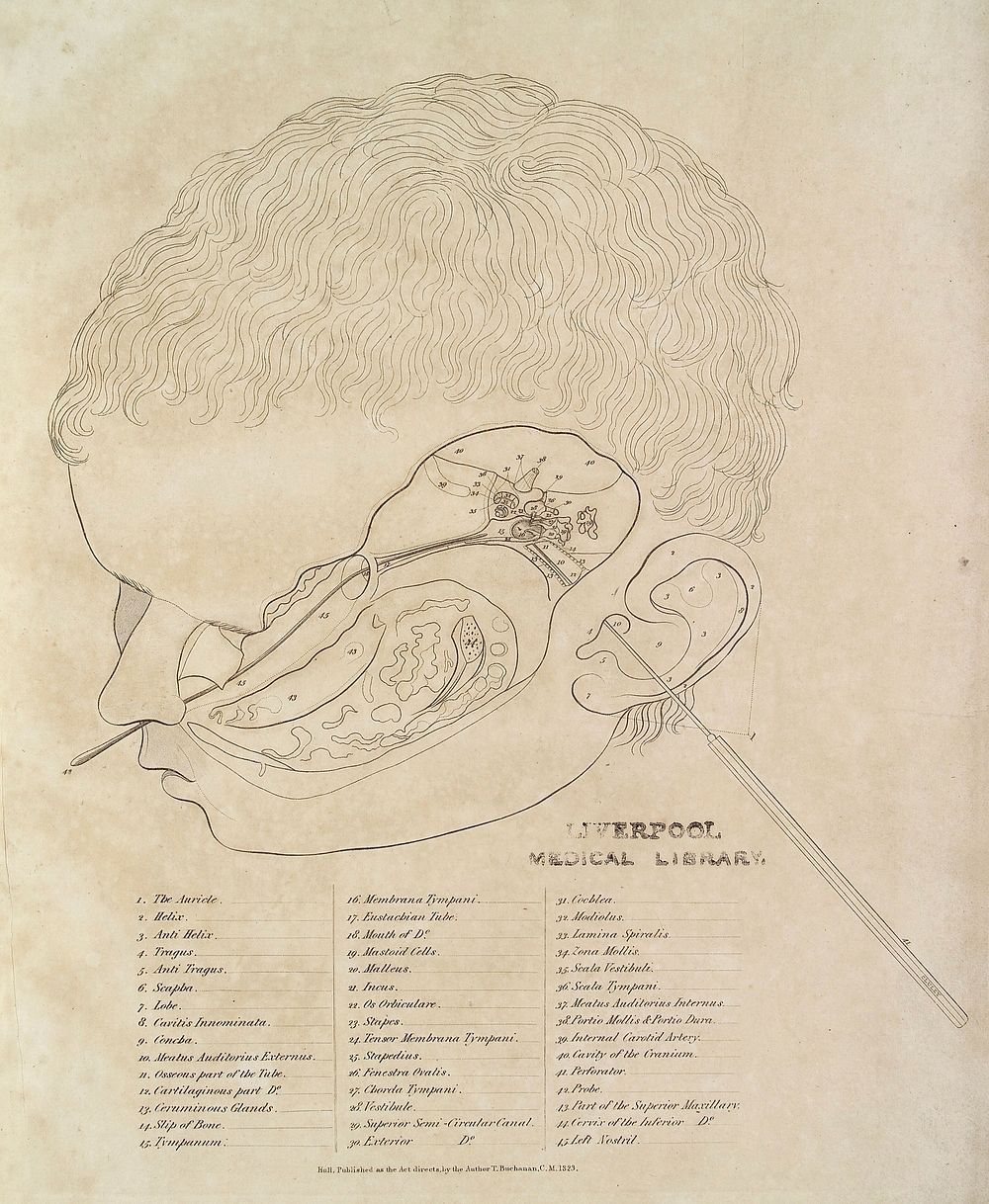 An engraved representation of the anatomy of the human ear. To which are added surgical remarks ... and a synoptic table of…