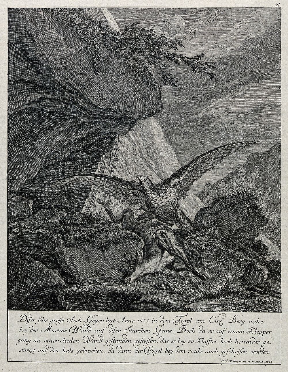 A mountain landscape with a vulture hovering over its prey, a chamois buck. Etching by J.E. Ridinger.