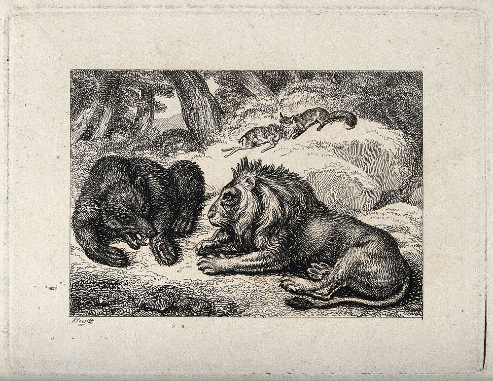 A lion and a bear snarling at one another. Etching by W-S Howitt.