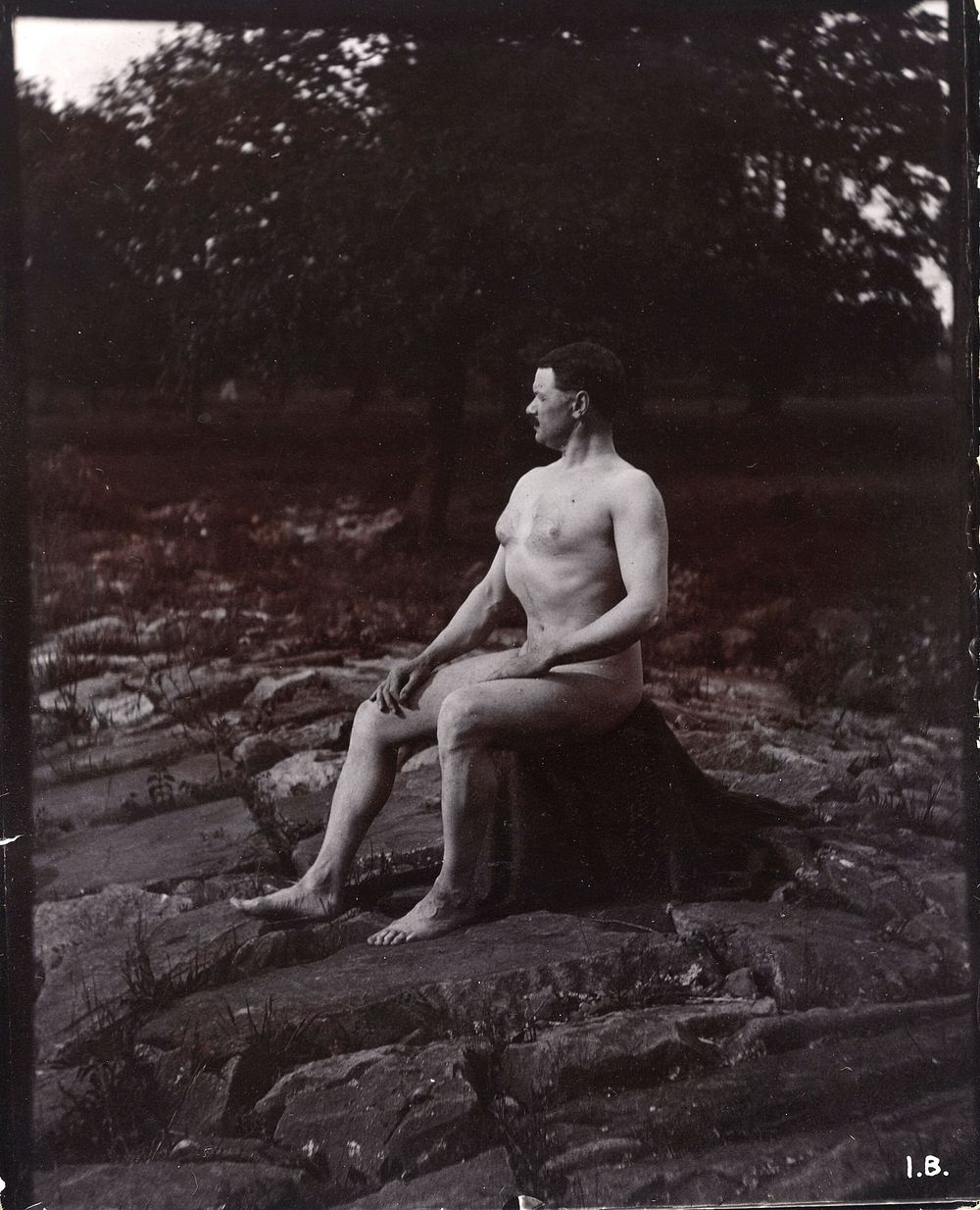 A man posing naked, seated on a rocky outcrop in a leafy landscape.