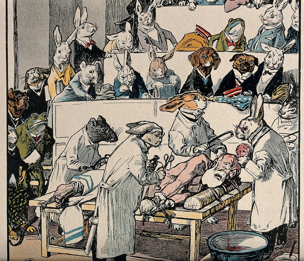 Animals dressed as doctors are about to vivisect a man in an operating theatre or anatomy theatre. Colour lithograph, ca.…