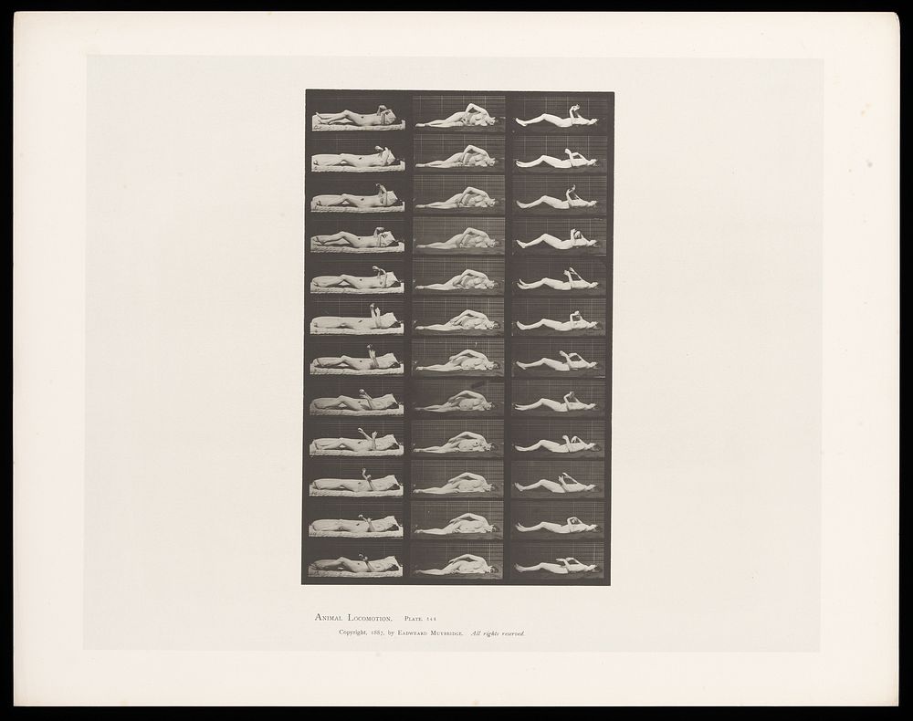 A woman on the ground with artificially induced convulsions. Collotype after Eadweard Muybridge, 1887.