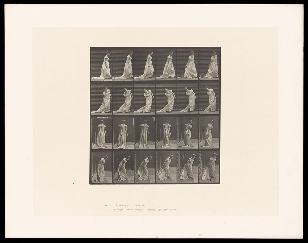 A clothed woman bending to her right to grasp the train of her dress and then turning. Collotype after Eadweard Muybridge…