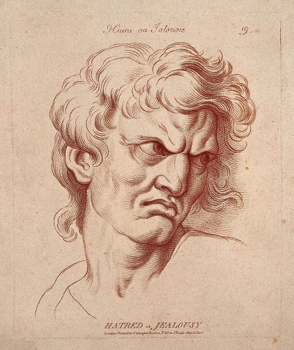 A face expressing hatred or jealousy. Crayon manner print by W. Hebert, c. 1770, after C. Le Brun.