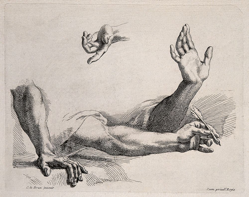Three forearms and one hand. Engraving after C. Le Brun.