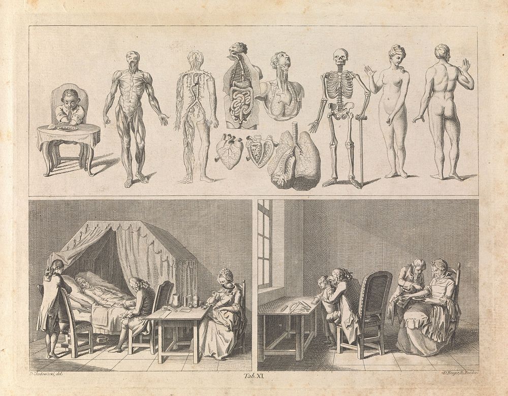 Anatomical figures (top); a physician takes the pulse of a sick man while the next two generations attend (bottom left);…