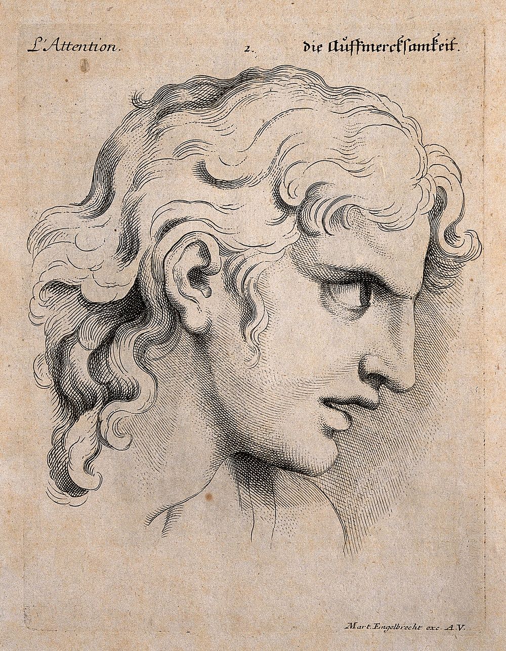 The face of a young man in a state of attention. Engraving by M. Engelbrecht, 1732, after C. Le Brun.