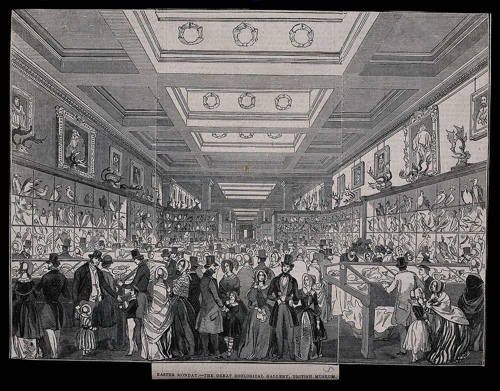 The British Museum: the Zoological Gallery, crowded with holiday visitors. Wood engraving, 1845.