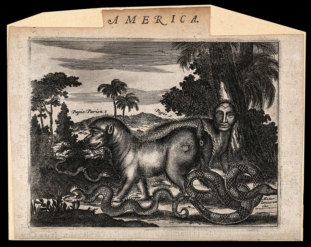 America: grotesque animals with human heads and serpents. Etching.