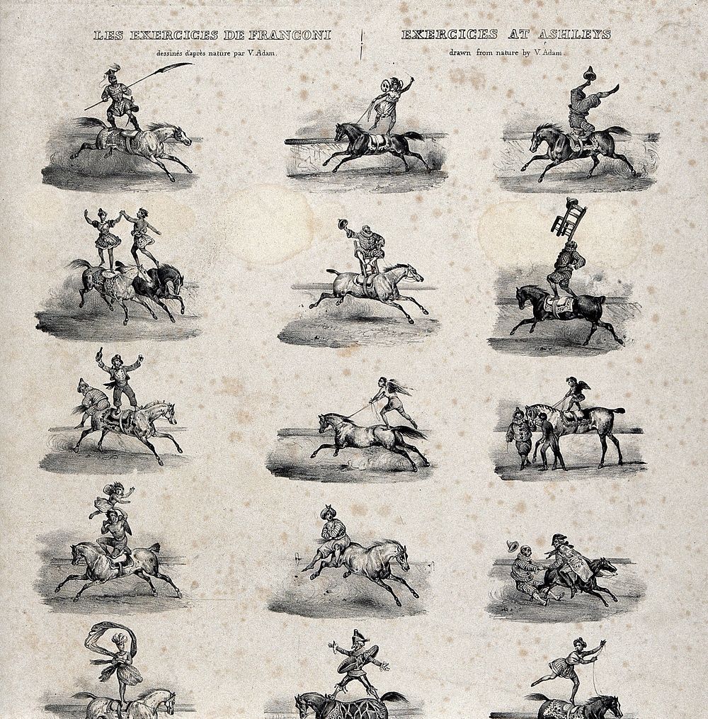The various ways of using horses, stags and elephants for the art of performing acrobatic feats shown in shown in seven…