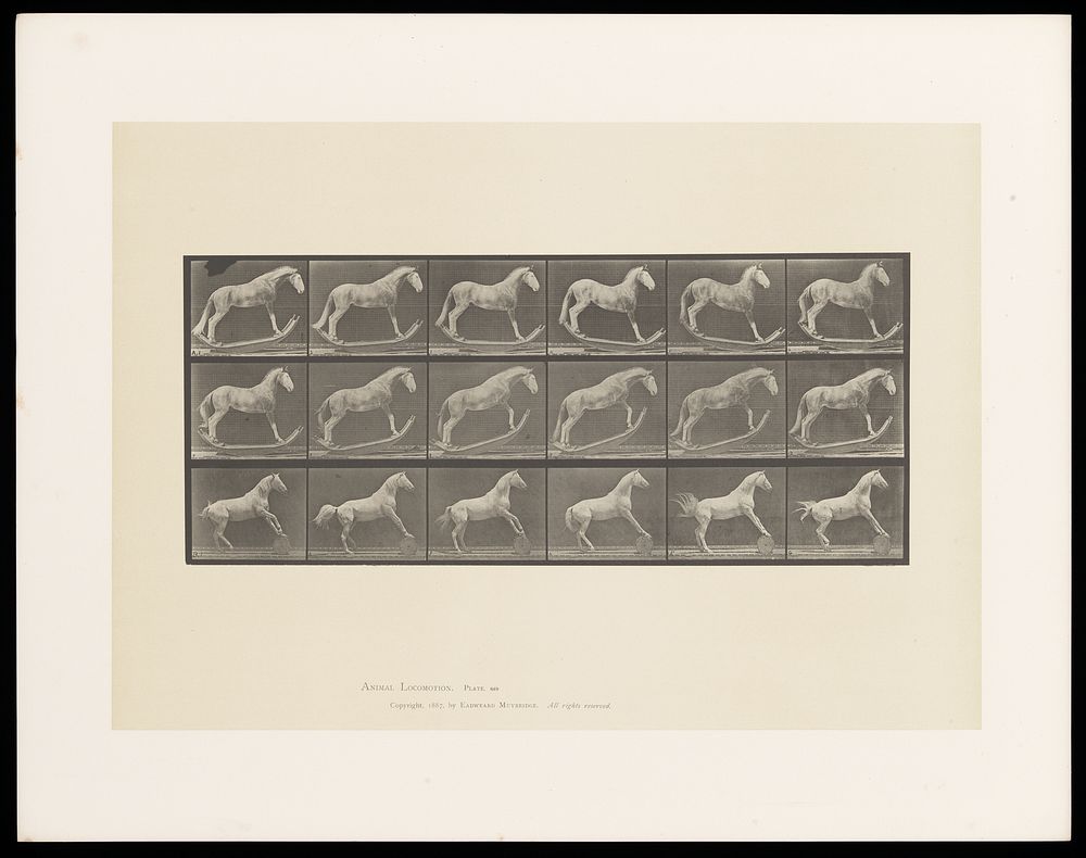A horse rocks to and fro on a curved platform, another rolls a barrel with its hooves. Collotype after Eadweard Muybridge…