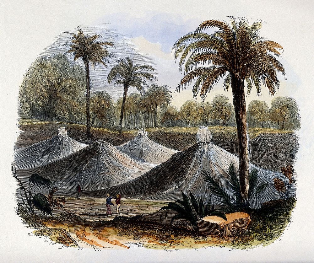 Geography: mounds of volcanic dust. Coloured wood engraving by C. Whymper.