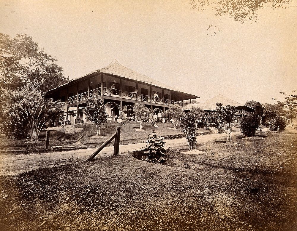 Singapore: a large bungalow for British officers with tropical plants in the garden. Photograph by J. Taylor, 1880.