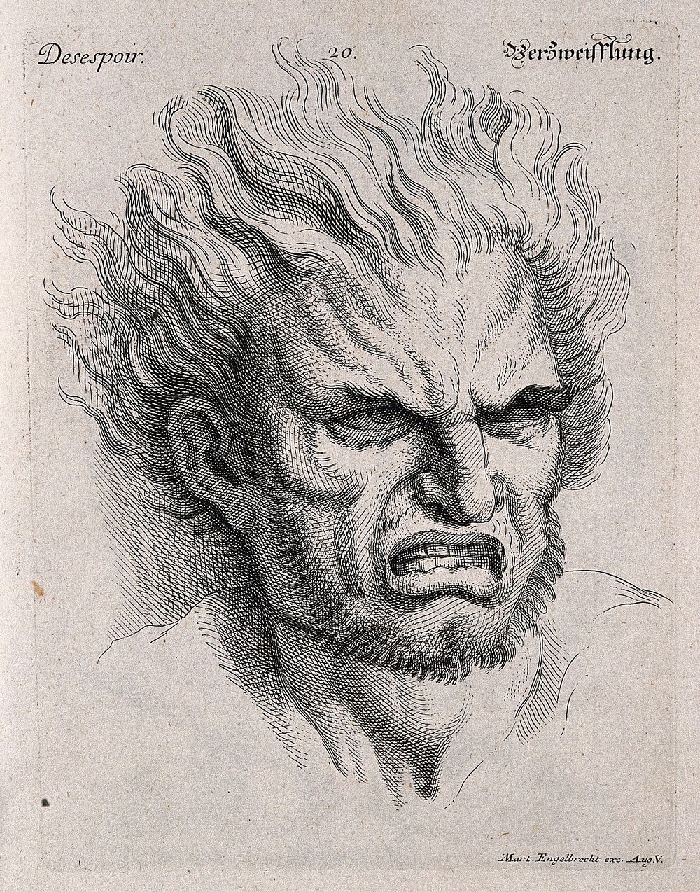 Head of a man with hair raised, expressing despair. Engraving by M. Engelbrecht , 1732, after C. Le Brun.