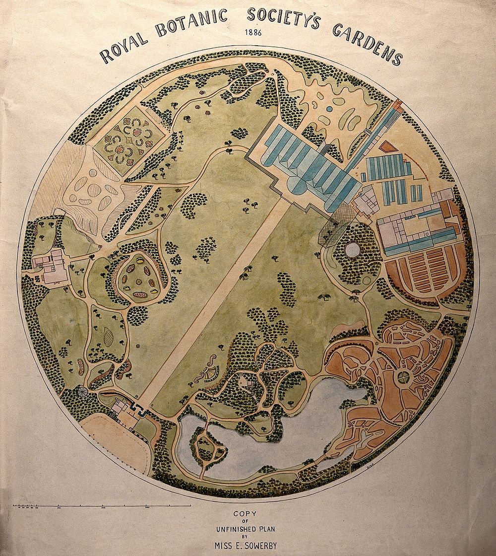 Plan of the Royal Botanic Society's Gardens, Regents Park.