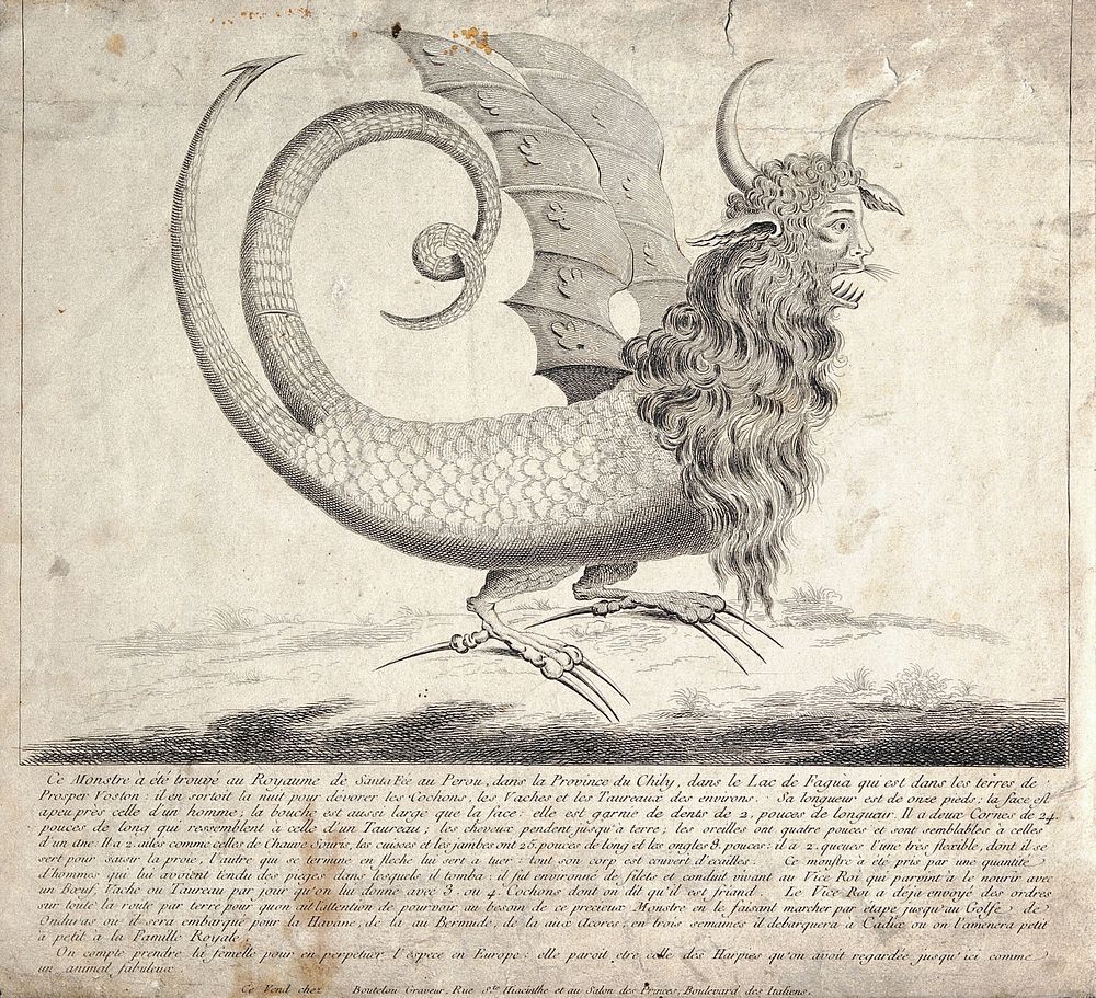 The "Peruvian harpy": a harpy with two tails, horns, fangs, winged ears and long wavy hair. Etching attributed to L.A.…