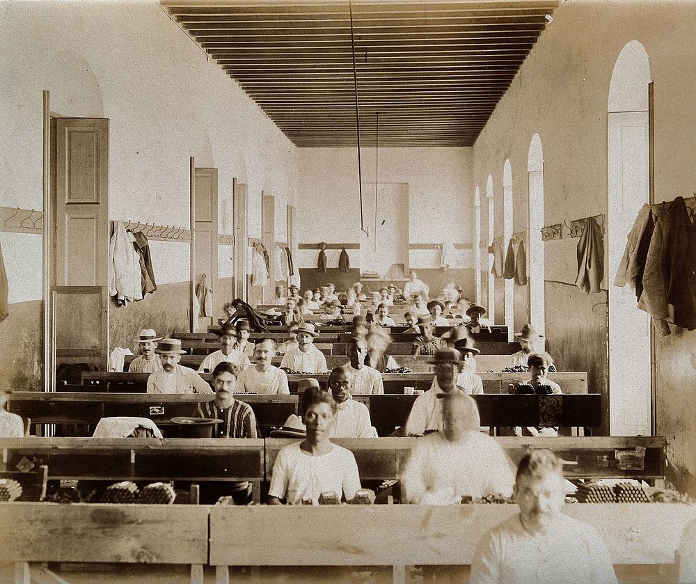 Tobacco factory, Industrial Corner, Barcelona St., Cuba: a view of the interior, showing men seated at rows of desks…