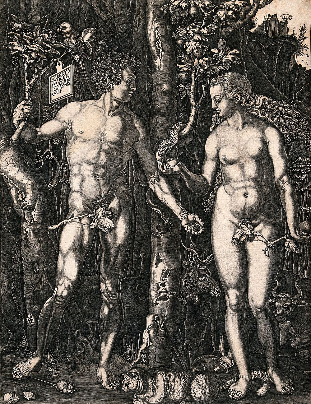 The serpent passes the fruit to Eve while Adam holds onto a branch. Line engraving after A. Durer.