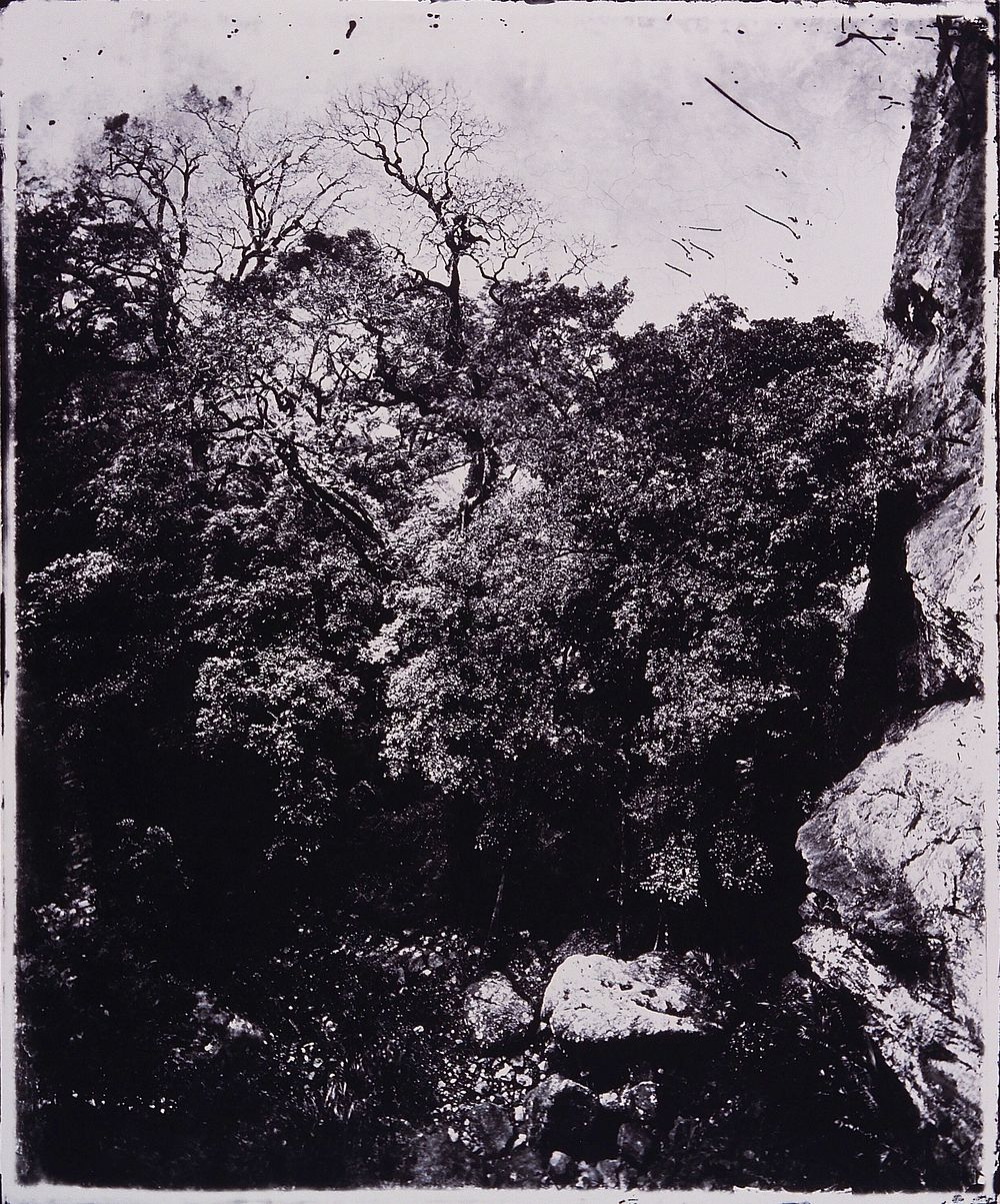 Formosa [Taiwan]. Photograph, 1981, from a negative by John Thomson, 1871.