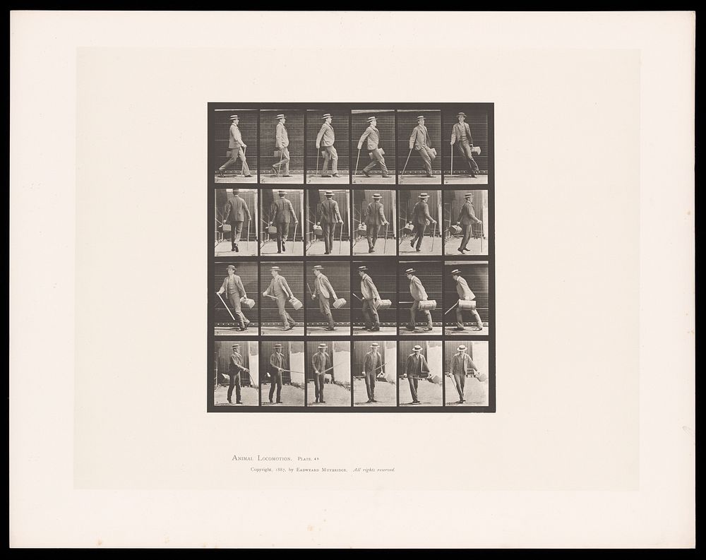 A man walking. Collotype after Eadweard Muybridge, 1887.