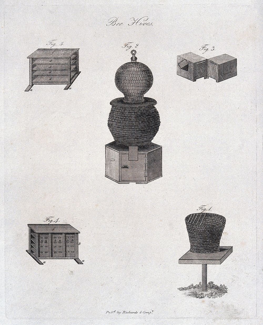 Apiculture: beehives. engraving.