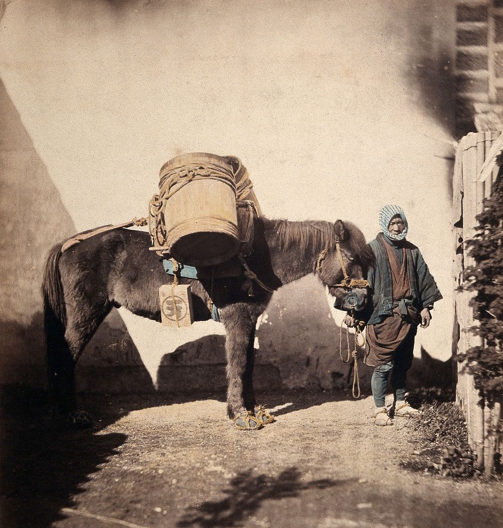 Takaido, Japan: a pack pony wearing straw shoes with its leader. Coloured photograph by Felice Beato, ca. 1868.