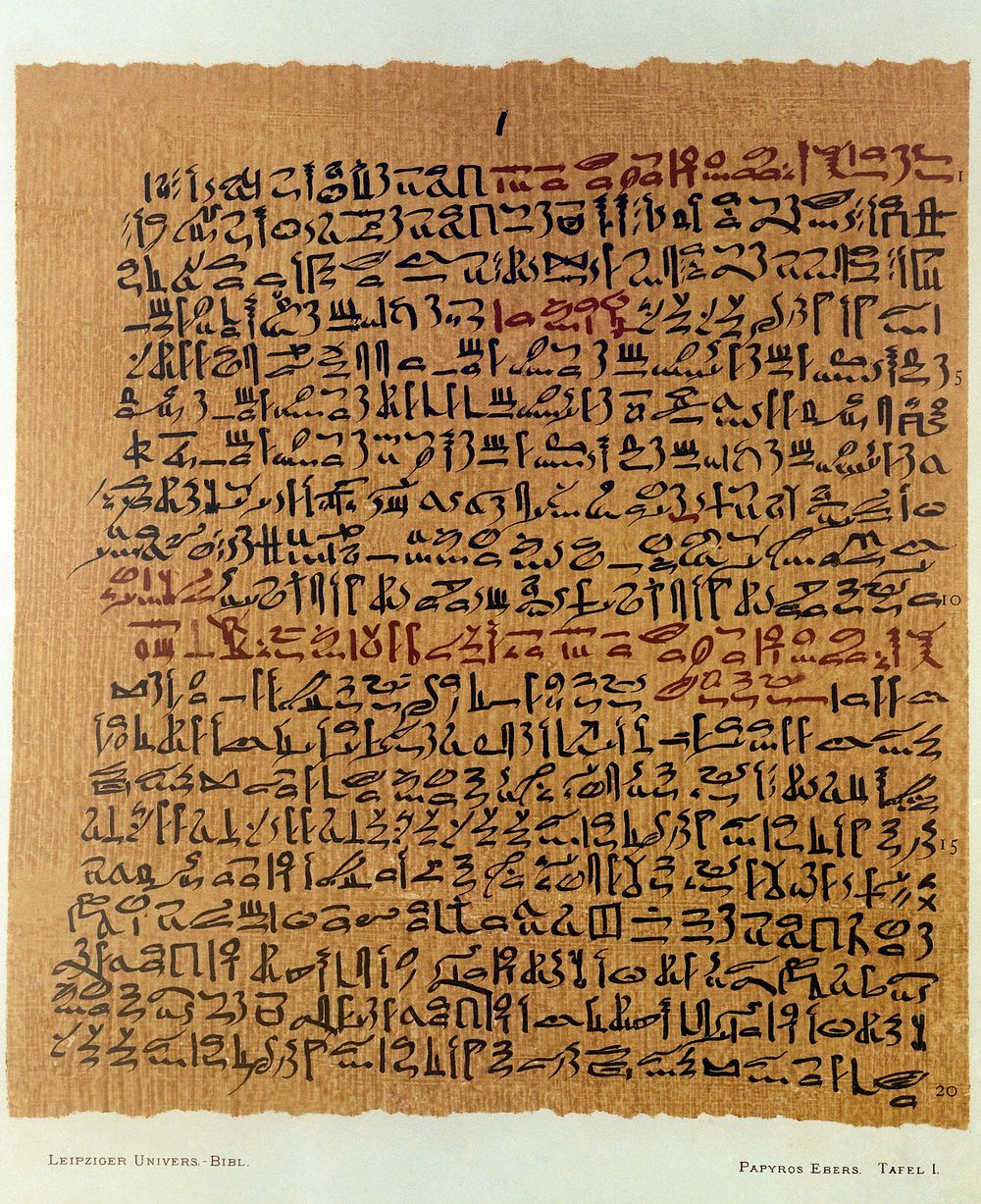 Papyros Ebers : das hermetische Buch über die Arzeneimittel der alten Ägypter in hieratischer Schrift / herausgegeben mit…