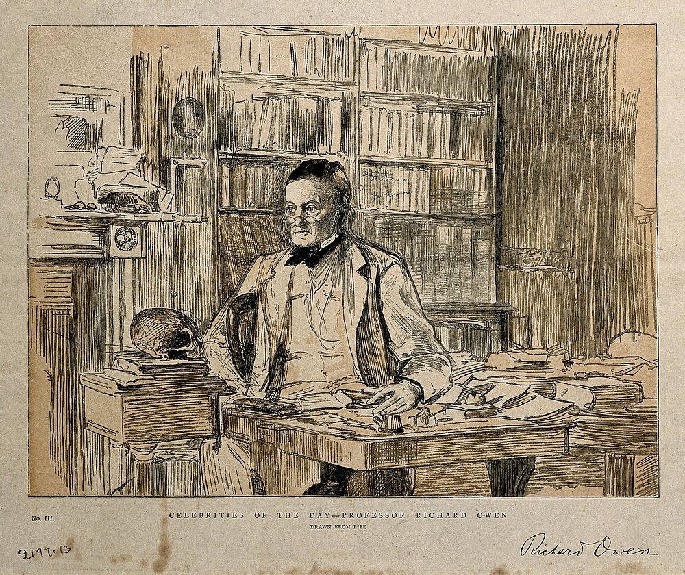Sir Richard Owen. Colour line block, 1883.