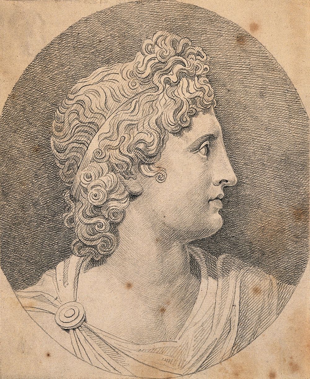 Head of the Apollo Belvedere statue in the Vatican. Drawing, c. 1791.