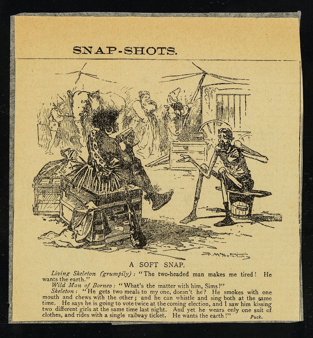 [Newspaper cutting, "A soft snap" (in the series 'snap-shots') featuring a cartoon and a Living Skeleton and a Wild Man of…