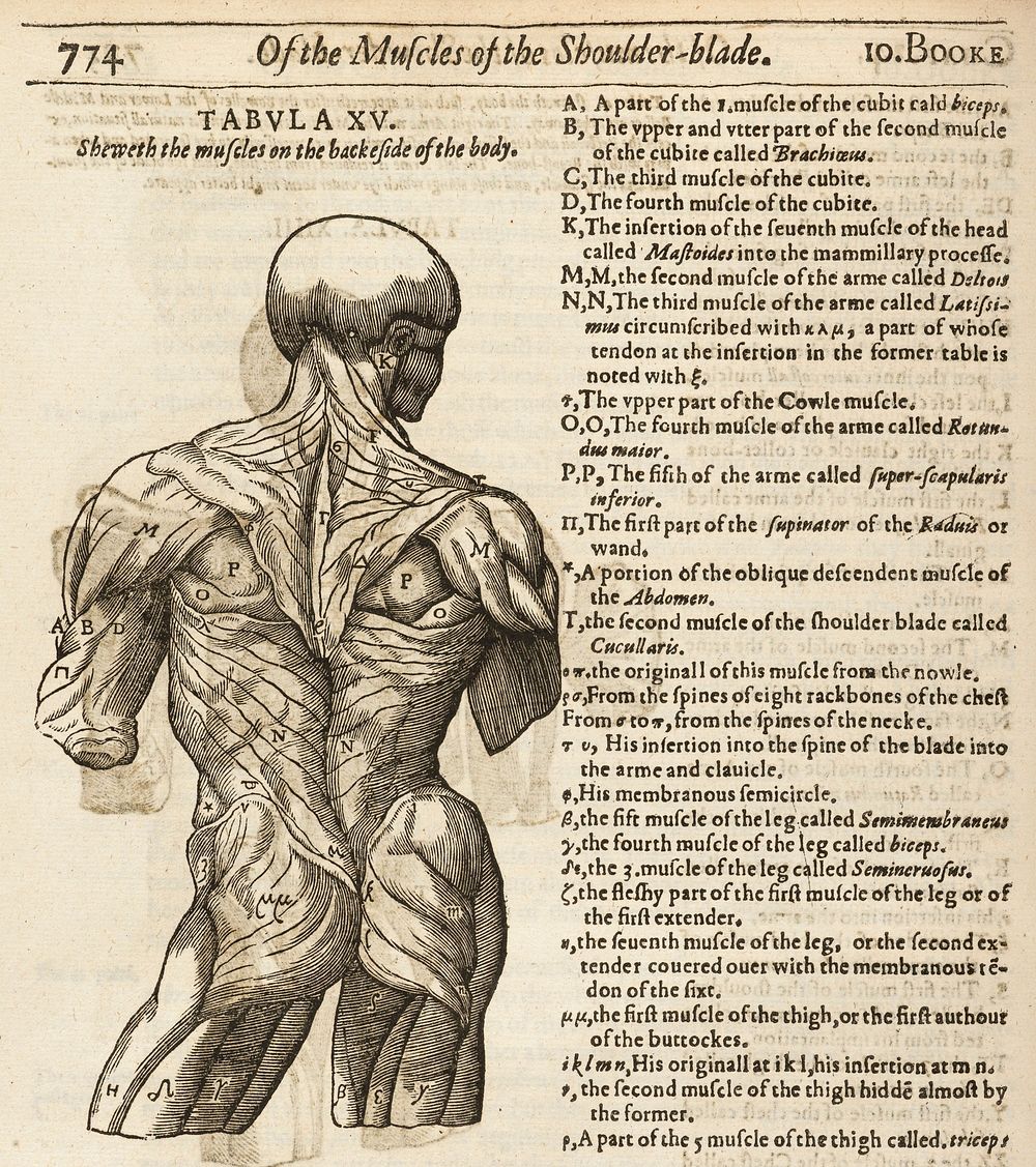 Mikrokosmographia. A description of the body of man. Together with the controversies thereto belonging. Collected and…