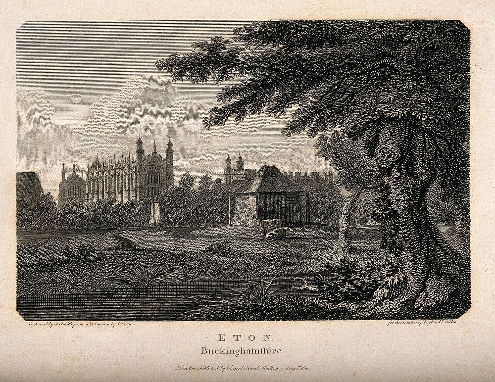 Eton College as seen from the river and fields, Berkshire. Line engraving by J. Smith, 1801, after E. Dayes.