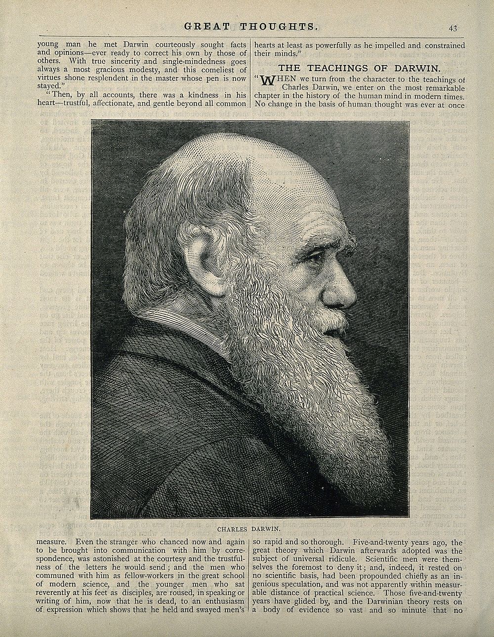 Charles Robert Darwin. Wood engraving.