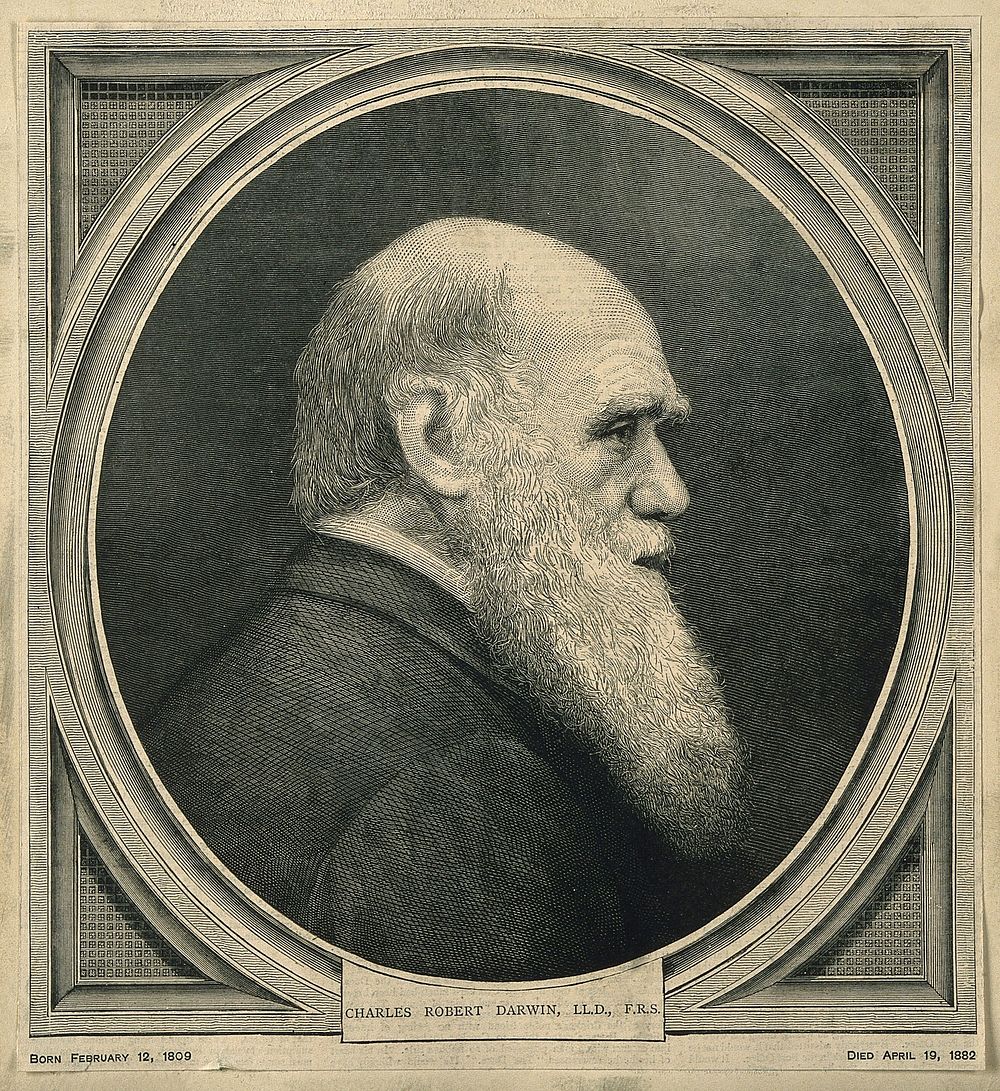 Charles Robert Darwin. Wood engraving.