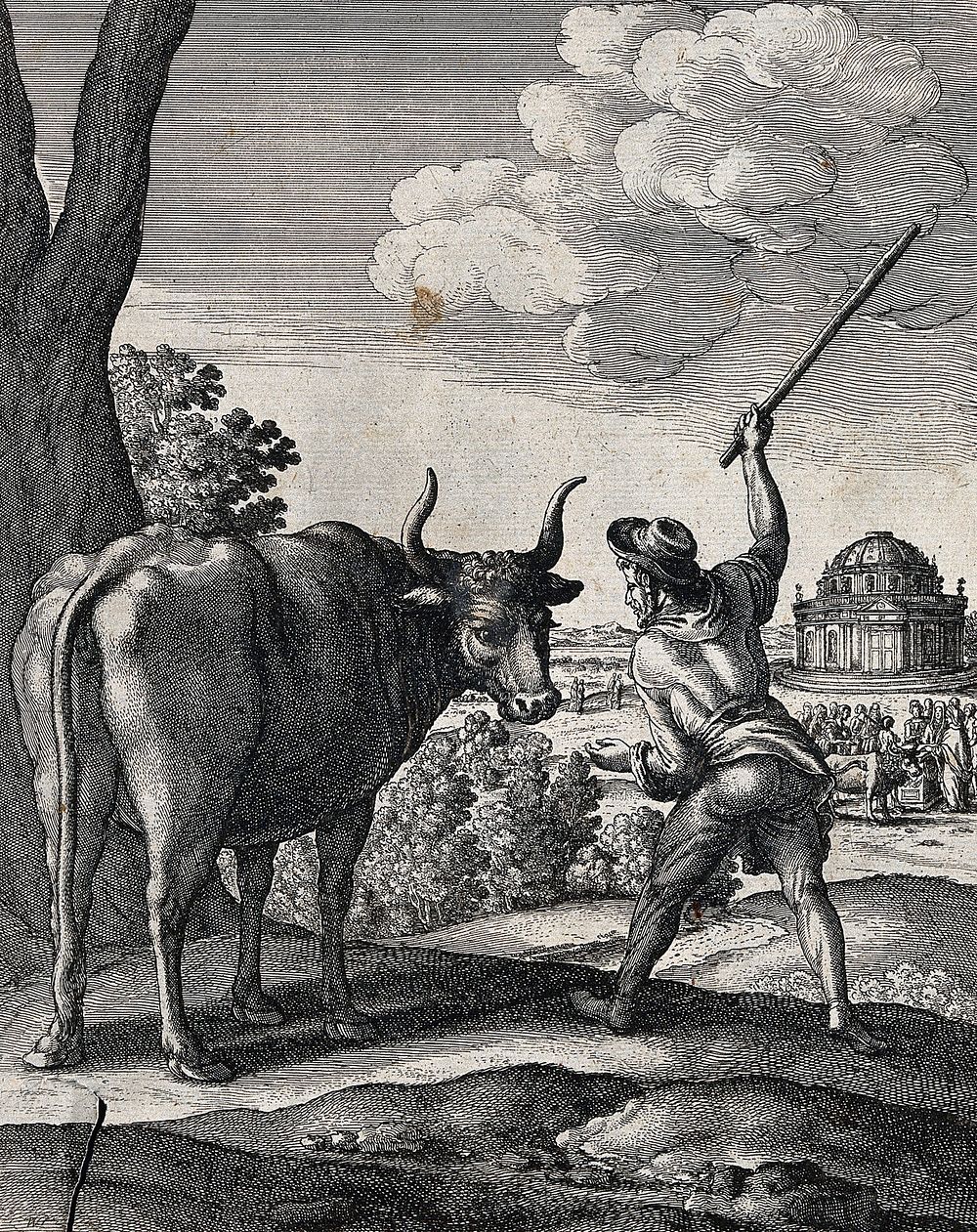 A peasant is raising his stick to drive on an ox. Etching by W. Hollar for a fable by J. Ogilby.