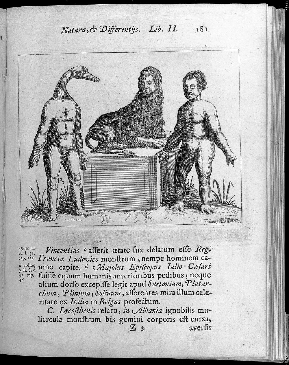 Three figures with abnormalities, One figure has a human body with a ducks head, the second figure has a Lions body with a…