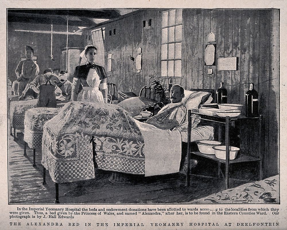 Boer War: a military hospital ward with patient in the "Alexandra" bed donated by the Princess of Wales. Process print after…
