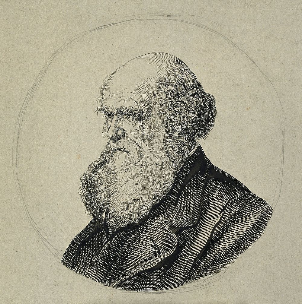 Charles Robert Darwin. Pen and ink drawing.