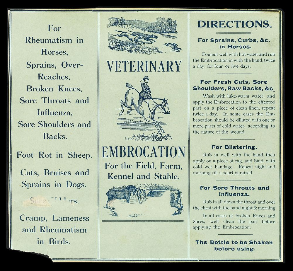 Veterinary embrocation for the field, farm, kennel and stable.
