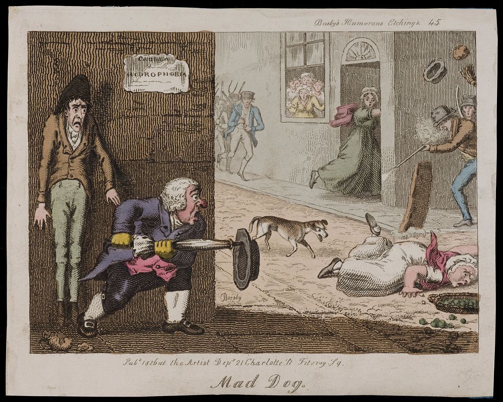 A mad dog on the run in a London street: citizens attack it as it approaches a woman who has fallen over. Coloured etching…