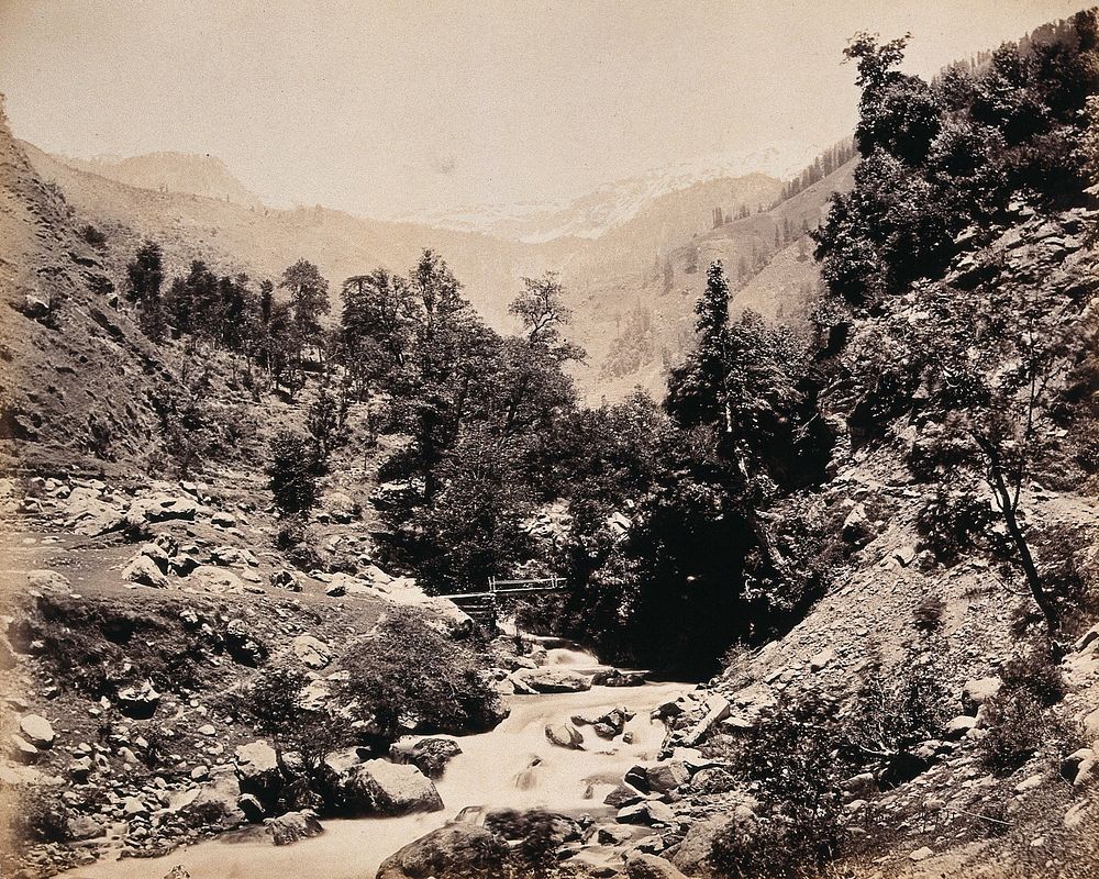 Kashmir: a river in a valley. Photograph by Samuel Bourne.