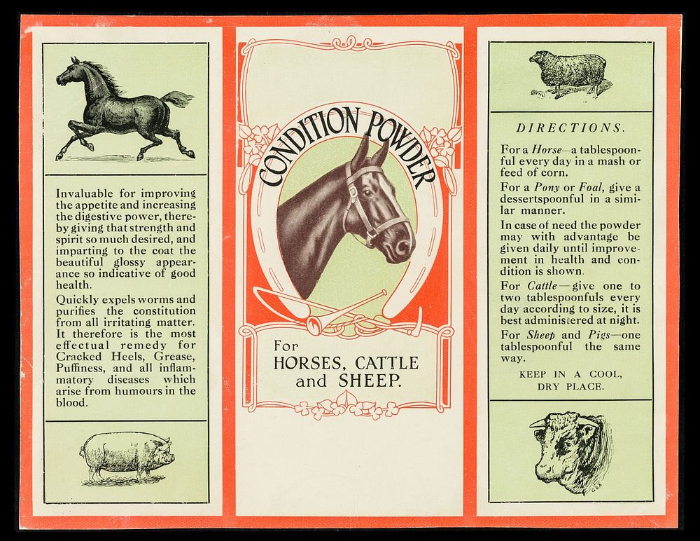 Condition powder for horses, cattle and sheep.