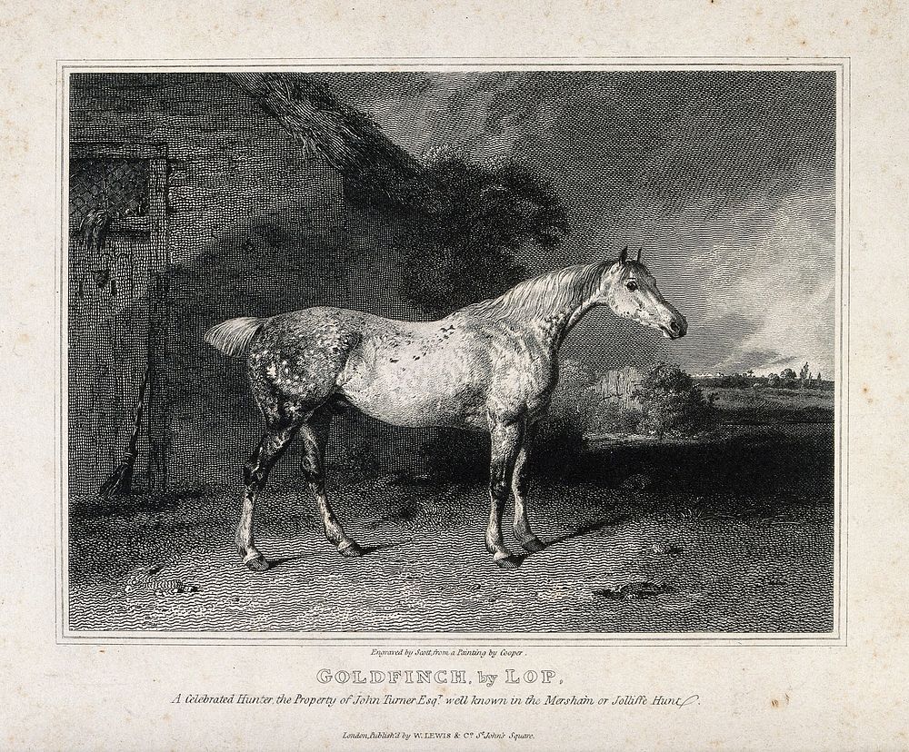 A horse standing outside a thatched cottage. Line engraving by J. Scott after A. Cooper.